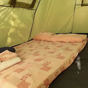 https://camping-a-selinunte-relax-fra-gli-ulivi.sicilyhotelsitaly.net